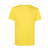 Yellow Fizz