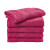 Raspberry