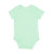 Mint Organic