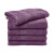 Aubergine