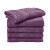 Aubergine