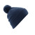 French Navy