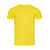 Daisy Yellow