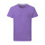 Aster Purple
