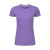 Aster Purple