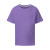 Aster Purple