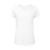 Chic Pure White