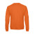 Pumpkin Orange