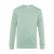 Aqua Green