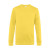 Yellow Fizz