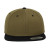 Olive-Black