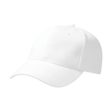 Pro-Style Heavy Brushed Cotton Cap