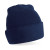 French Navy