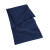 French Navy