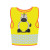 Zebra Yellow