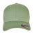 Dark Leaf Green