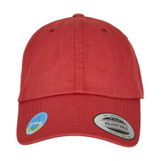 Ecowash Dad Cap
