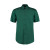 Bottle Green
