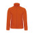 Pumpkin Orange