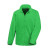 Vivid Green