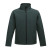 Dark Spruce-Black