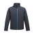 Navy-French Blue