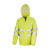 Fluorescent Yellow