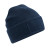 French Navy