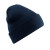 French Navy